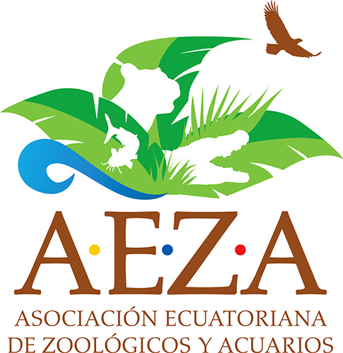 AEZA Lanza Nueva Página Web!!