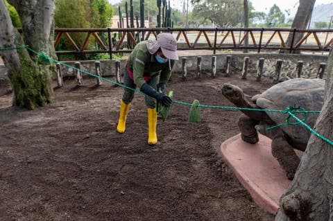 Emergencia Financiera en el Zoológico de Quito y otros centros de cuidado de fauna silvestre del país